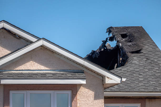 Top rated local Odor Removal specialists in Arlington, VA